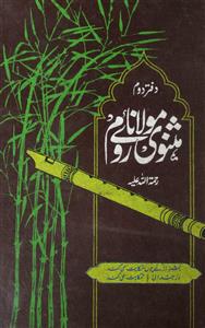 Maulana Rumi Books on Sufism