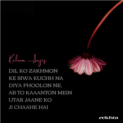 kuu-e-qaatil hai magar jaane ko jii chaahe hai-Kaleem Aajiz