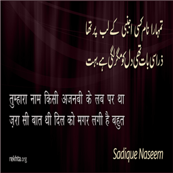 तुम्हारा नाम किसी अजनबी के लब पर था-सादिक़ नसीम