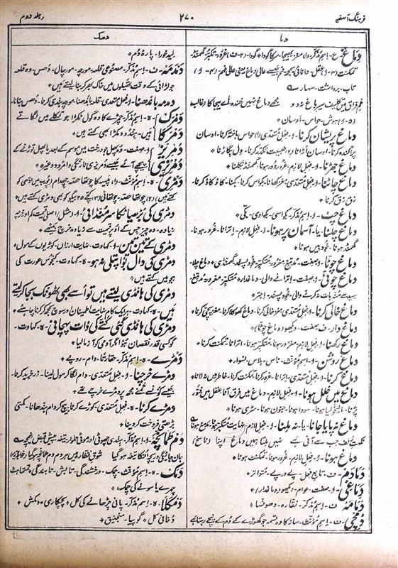 Meaning Of دماغ Rekhta
