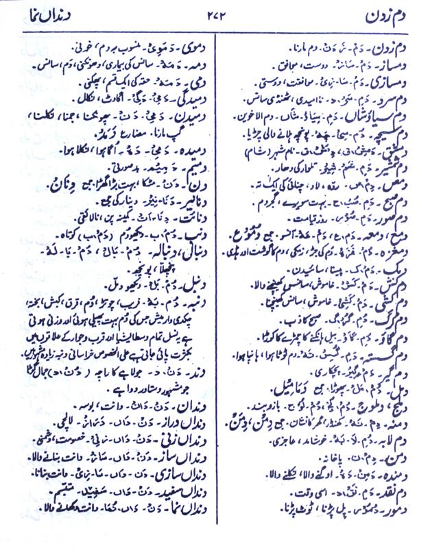 Meaning Of دماغ Rekhta